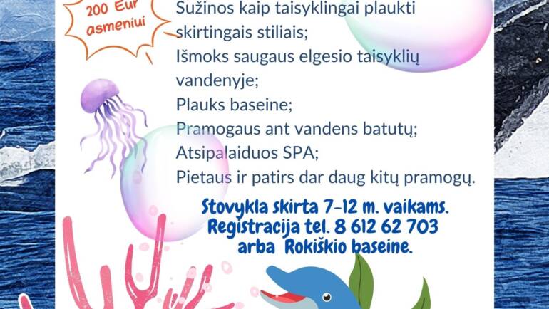 Prasidėjo registracija į plaukimo stovyklą