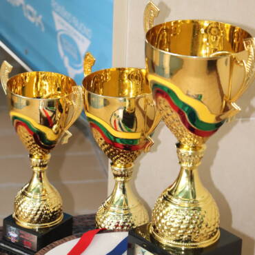 Drakono valtys Rokiškio baseine